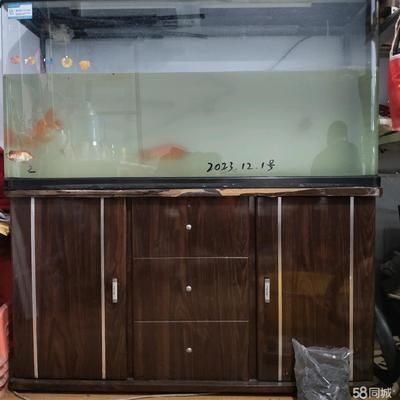 1號水族魚缸怎么樣評價：一號水族魚缸怎么樣？