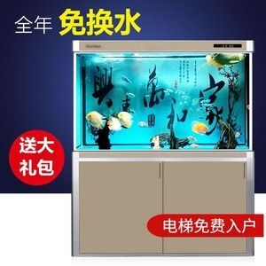 2米魚缸能進(jìn)電梯嗎視頻：2米的魚缸能否進(jìn)入電梯，如何安全地搬運(yùn)大型魚缸