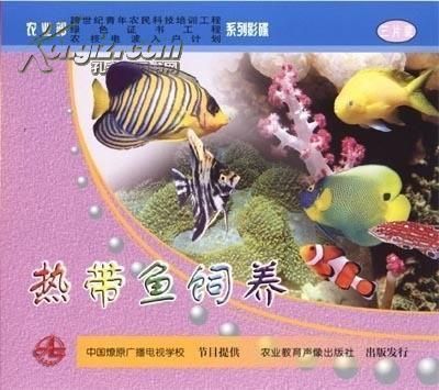 怎樣養(yǎng)好龍魚視頻解說(shuō)