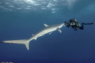 60寬80高的魚缸：自制魚缸尺寸選擇常見問題解答魚缸尺寸與養(yǎng)魚的關(guān)系