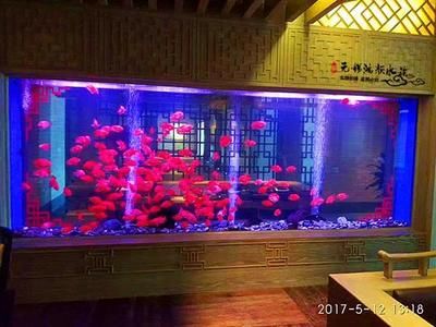 5米超大魚缸制作視頻：制作5米超大魚缸需要注意什么？ 魚缸百科 第1張