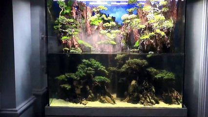 80厘米高魚缸造景效果圖：80厘米高的魚缸造景效果圖