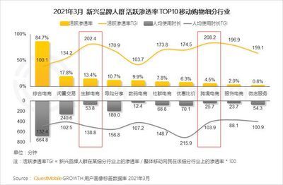 2024年網(wǎng)紅品牌：2024年的網(wǎng)紅品牌既有成功的典范也有面臨挑戰(zhàn)的典范