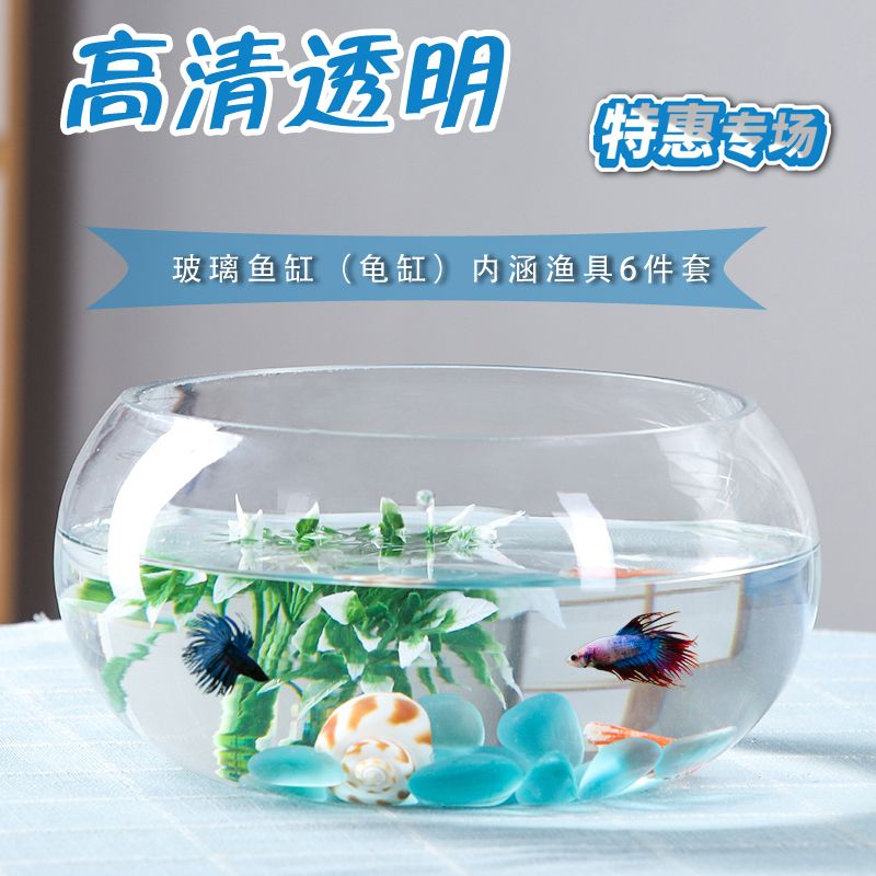 2020水族魚缸博覽會視頻：2020年廣州國際水族展亮點打造性價比展會 魚缸百科 第1張