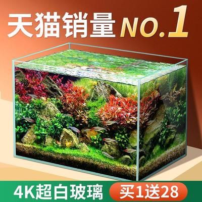 8l的魚(yú)缸可以養(yǎng)多少魚(yú)：8升魚(yú)缸的養(yǎng)魚(yú)數(shù)量怎么算？ 魚(yú)缸百科 第4張