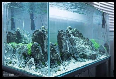 60cm魚缸造景：60cm魚缸造景基礎教程 魚缸百科 第3張