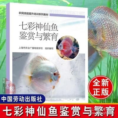 60魚缸可以養(yǎng)幾條七彩神仙魚：60厘米的魚缸適合養(yǎng)多少條七彩神仙魚