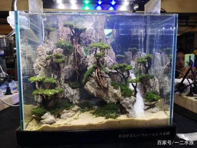 35cm魚缸造景：35cm的魚缸造景需要注意事項魚缸造景需要注意事項 魚缸百科 第2張