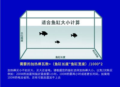 1.2米魚缸寬度多少合適呢：1.2米魚缸寬度在35-45厘米之間的選擇