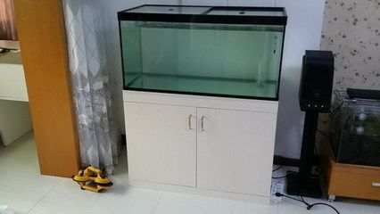 ADA魚缸柜子為什么都是70高 魚缸百科 第3張