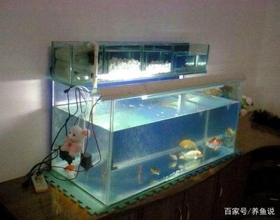 2.6米魚缸制作：2.6米大型魚缸制作過程中如何自己動手制作魚缸 魚缸百科 第1張