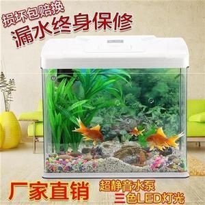 9升魚缸能養(yǎng)多少魚蝦和蝦：9升魚缸能養(yǎng)多少蝦