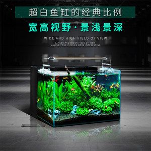 30的魚缸過濾器用什么最好：30升的魚缸過濾器怎么選