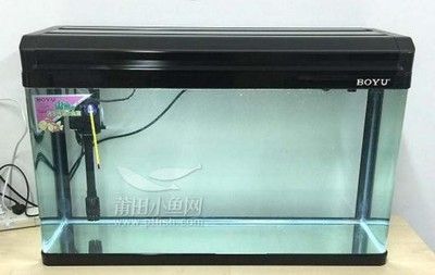 80的魚缸上濾成品缸怎么加強過濾：80的魚缸上濾成品缸的過濾效果 魚缸百科 第3張