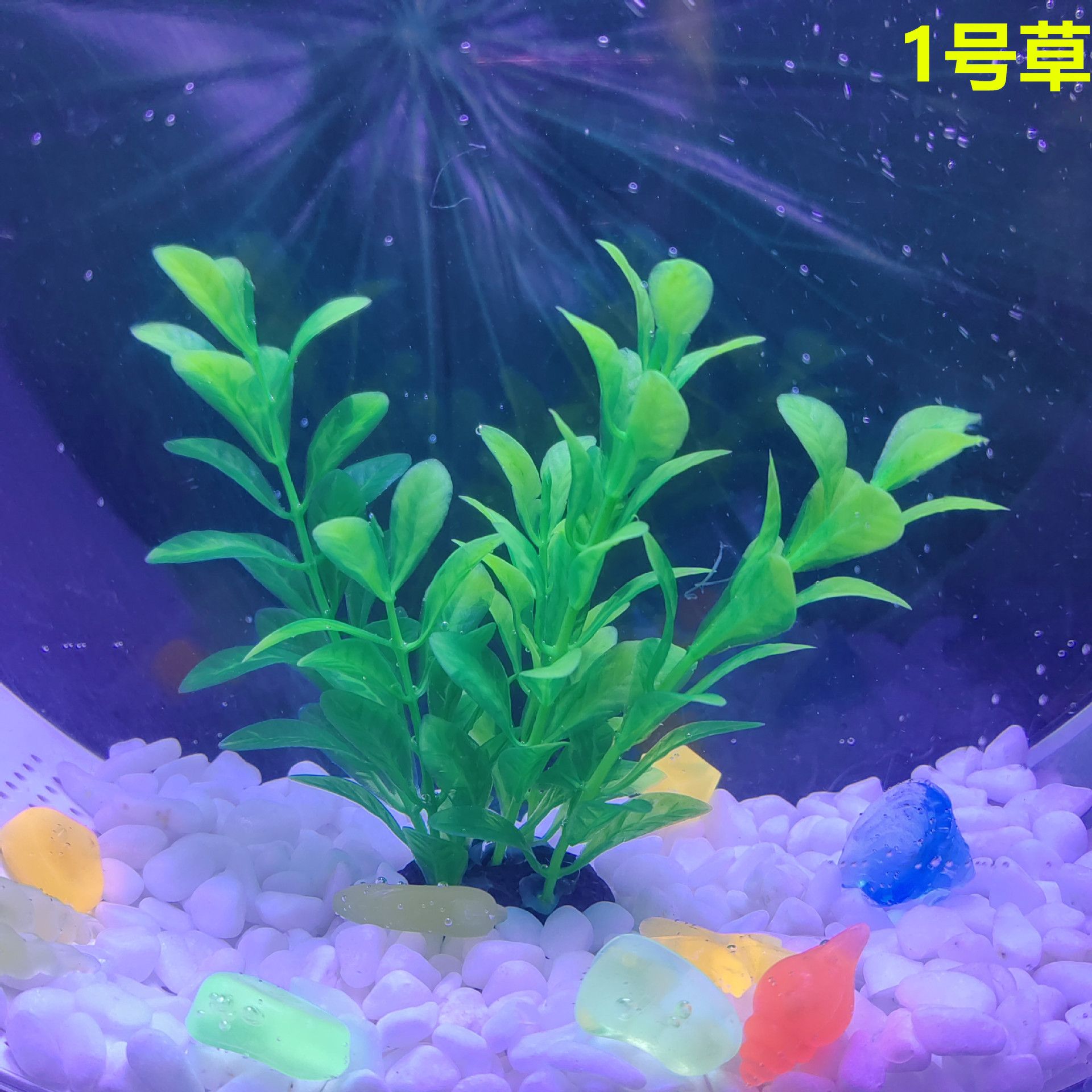 1號(hào)水族魚(yú)缸：1號(hào)水族魚(yú)缸寓意文化與水族產(chǎn)品相結(jié)合讓水族產(chǎn)品充滿(mǎn)美好祝福 魚(yú)缸百科 第2張