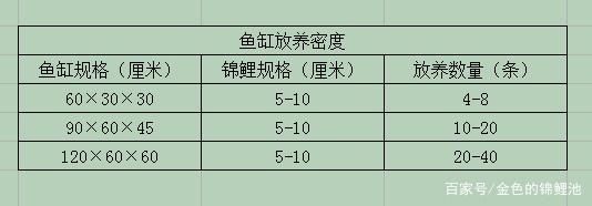 60x30魚缸一般放幾條魚：60x30魚缸適合養(yǎng)幾條熱帶魚