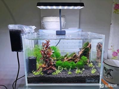 30缸是什么意思魚缸：30缸魚缸造景的靈感與技巧30缸魚缸造景技巧