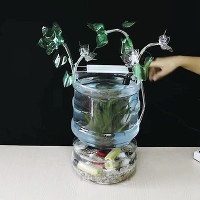 5個(gè)礦泉水瓶魚缸圖片：如何使用五個(gè)礦泉水瓶制作魚缸 魚缸百科 第3張