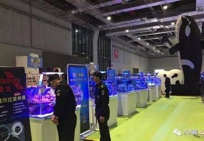 2024水族展覽會(huì)：2024中國國際寵物水族展覽會(huì) 魚缸百科 第2張