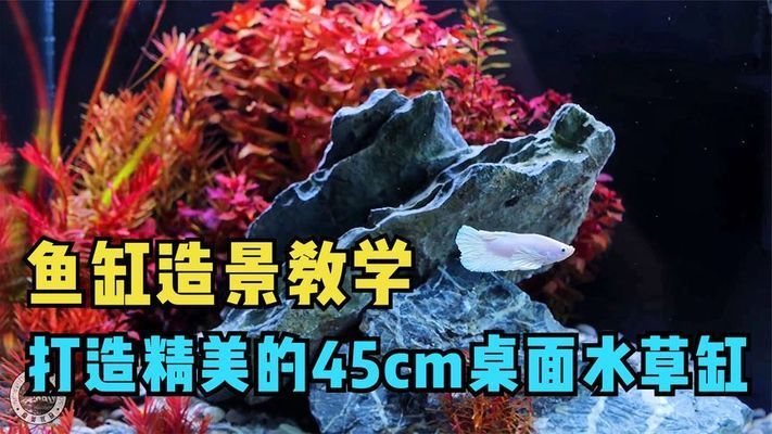 45-30-30魚(yú)缸造景：45-30-30-30魚(yú)缸造景需要準(zhǔn)備什么硬件 魚(yú)缸百科 第2張