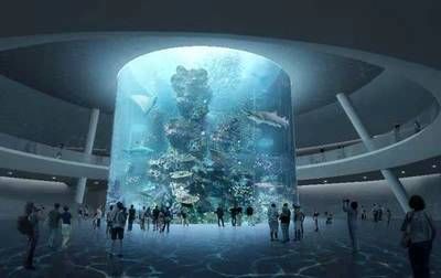 2024年國際水族展：中國國際寵物水族展覽會(cips) 魚缸百科 第2張