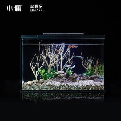 30厘米的魚缸造景圖片：30厘米的魚缸造景技巧 魚缸百科 第4張