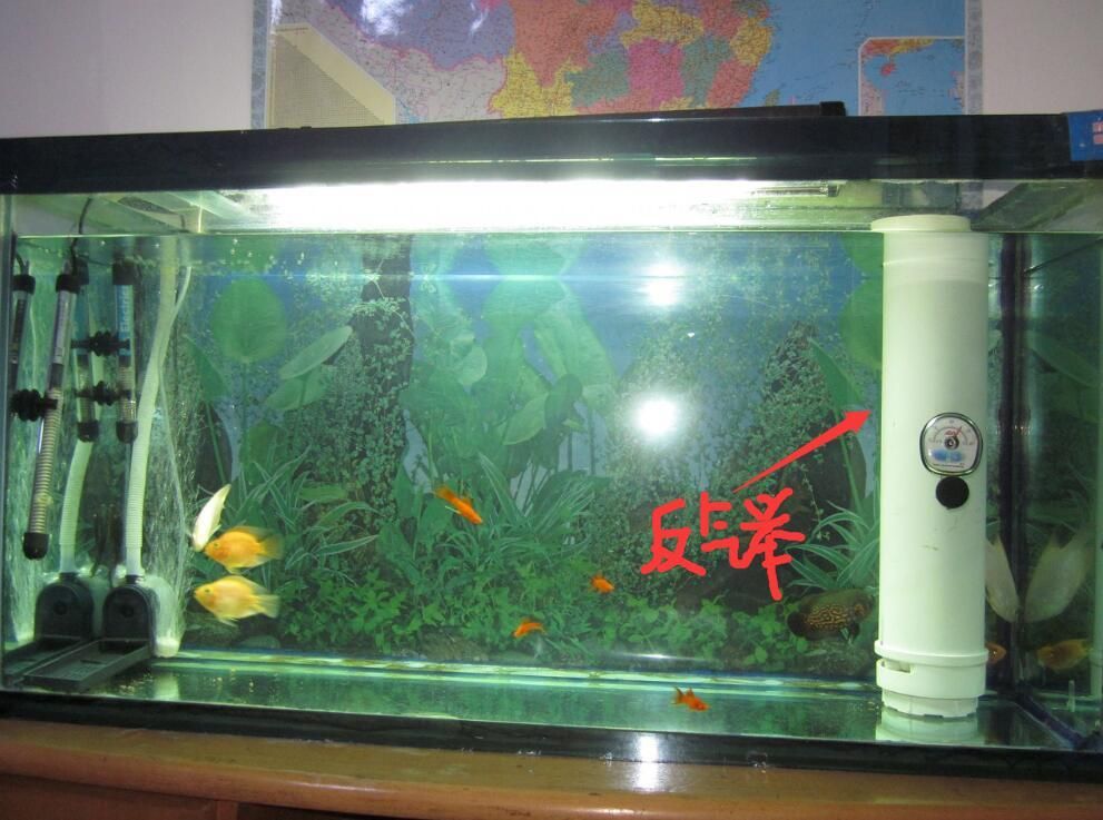 giea魚缸過濾怎么安裝giea魚缸過濾怎么安裝魚缸上過濾怎么安裝方法：giea魚缸過濾器安裝和使用方法魚缸過濾器的安裝和使用方法 魚缸百科 第1張