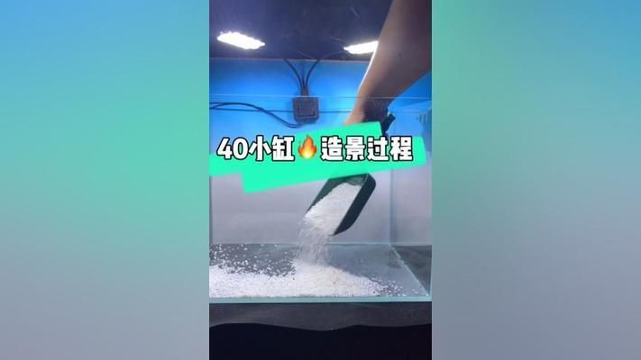 40厘米魚(yú)缸造景教學(xué)視頻：40厘米魚(yú)缸造景教學(xué)視頻教學(xué)視頻教學(xué)視頻教程