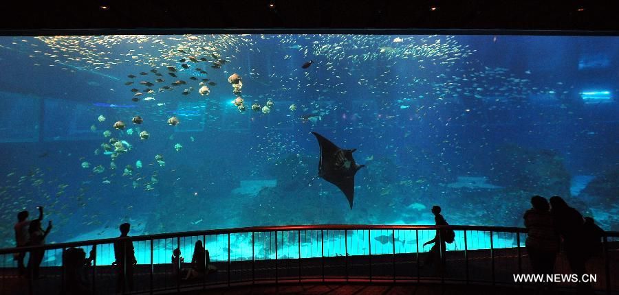 aquarium魚(yú)缸 說(shuō)明書(shū)：aquariumfish缸說(shuō)明書(shū)aquariumfish缸選購(gòu)指南 魚(yú)缸百科 第4張