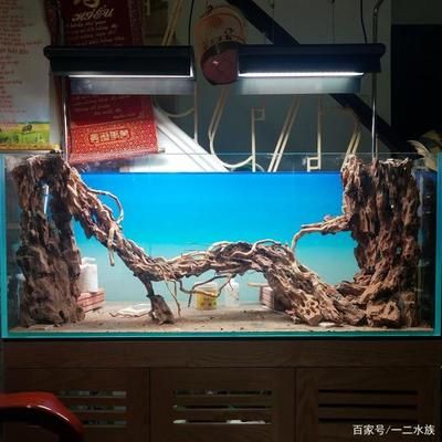 502膠能粘魚缸嗎：502膠水可以粘魚缸嗎？ 魚缸百科 第2張