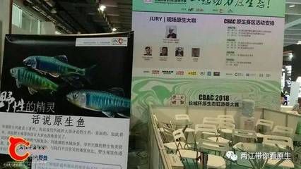 2024年廣州水族用品展會(huì)時(shí)間表圖片：2024年廣東水上運(yùn)動(dòng)用品展會(huì)時(shí)間表2024廣東水展 魚(yú)缸百科 第1張