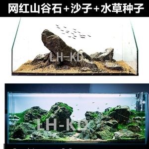 60厘米魚缸造景無底砂圖片及價格：60厘米魚缸造景價格是多少？