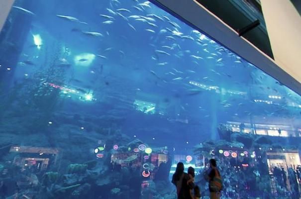 2020水族魚缸博覽會(huì)時(shí)間：2020年廣州國(guó)際水族魚缸博覽會(huì)時(shí)間和地點(diǎn)信息