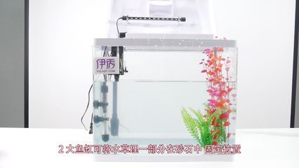 diy魚缸背景：diy魚缸背景貼紙是diy魚缸背景的一種常見方式 魚缸百科 第4張