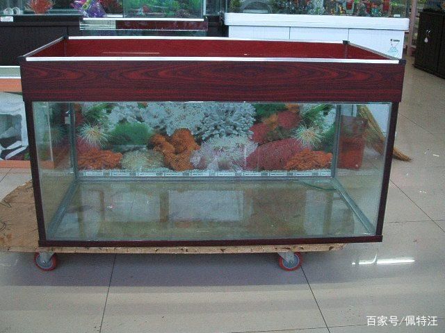 80厘米魚缸用多厚玻璃膠：制作一個80厘米魚缸時玻璃厚度的選擇是非常重要的 魚缸百科 第1張