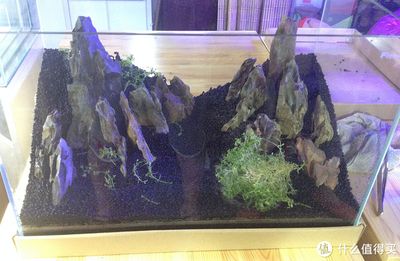 600魚缸造景圖：600魚缸造景圖片