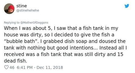 fish tank魚缸美國短篇：29篇美國短篇小說fishtank魚缸fishtank劇情 魚缸百科 第1張