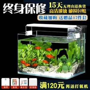 30L魚缸打氧多久：30升的魚缸需要打氧嗎