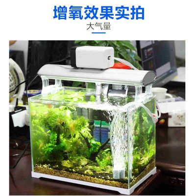 30L魚缸打氧多久：30升的魚缸需要打氧嗎 魚缸百科 第4張