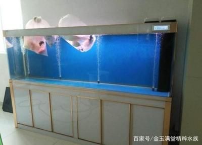 1米八的魚缸適合養(yǎng)多少條魚：1米8的魚缸容量決定了可以養(yǎng)1厘米體長的魚的容量 魚缸百科 第1張