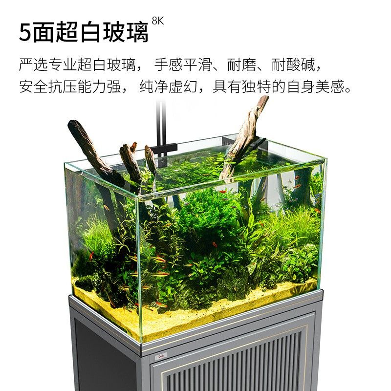 50魚缸的最佳尺寸：50魚缸的最佳尺寸取決于你的具體需求和條件 魚缸百科 第4張