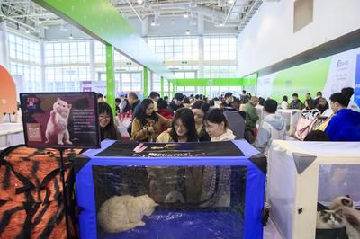 2024寵物水族博覽會(huì)：2018中國山東國際寵物水族用品博覽會(huì)概述 魚缸百科 第1張