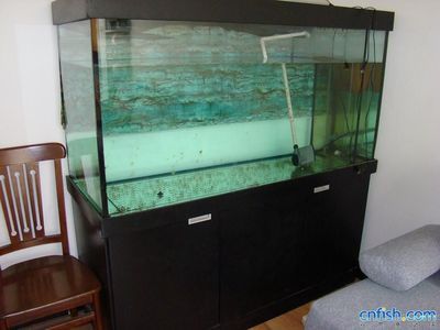 1米2的魚缸怎么造景呢：1米2的魚缸造景技巧