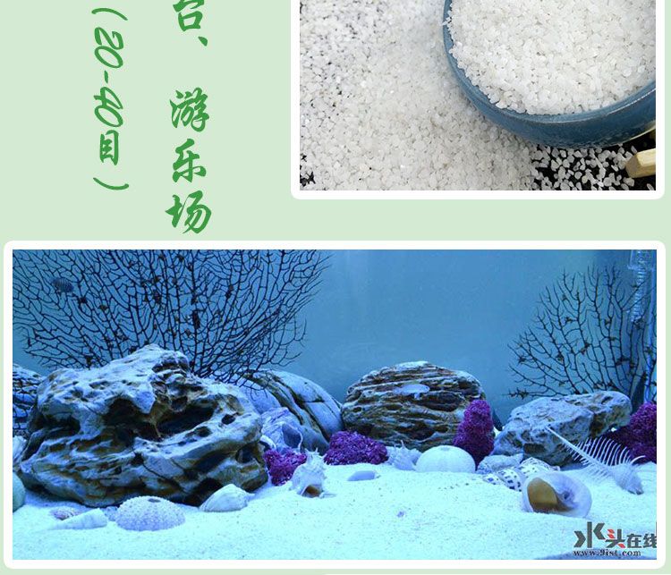 50的魚缸造景需要多少沙子：魚缸造景沙子用量計(jì)算 魚缸百科 第1張