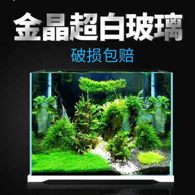 800魚缸造景圖：800魚缸造景設計和裝修效果圖制作步驟和注意事項 魚缸百科 第3張