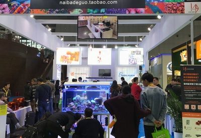 2024廣州寵物水族展：2024廣州寵物水族展是什么？ 魚缸百科 第2張