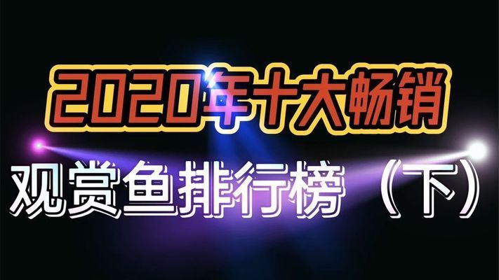 2020年流行養(yǎng)什么觀賞魚：2020年流行養(yǎng)什么觀賞魚2020年流行養(yǎng)什么觀賞魚 魚缸百科 第1張