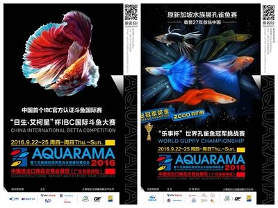 2024廣州水族展會(huì)時(shí)間地點(diǎn)：2024廣州水族展會(huì)時(shí)間和地點(diǎn) 魚缸百科 第3張