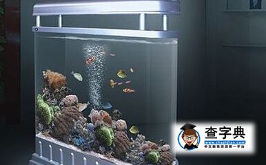 2024年?yáng)|南方可以放魚(yú)缸嗎：2024年?yáng)|南方不宜放置魚(yú)缸等水性裝飾 魚(yú)缸百科 第1張