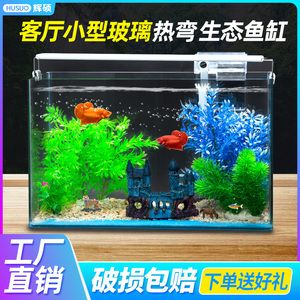 80x30x50的魚缸養(yǎng)什么金魚好：80x30x50的魚缸養(yǎng)殖方法 魚缸百科 第3張